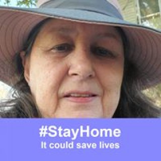 susannehaynes avatar