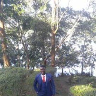 josewinterburg avatar