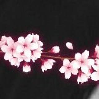 random_no_face avatar