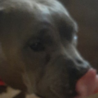 GrahamClan1984 avatar