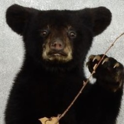 Flavin_Jarkins avatar