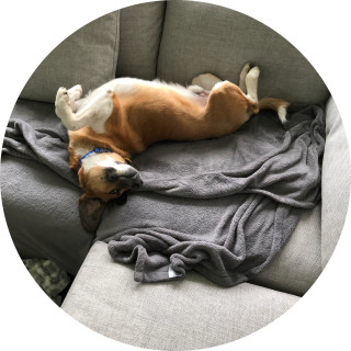 i_love_my_dog_jax avatar