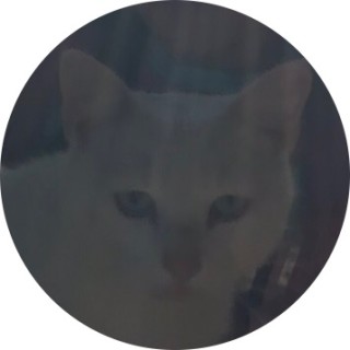 iloveanimals5649 avatar