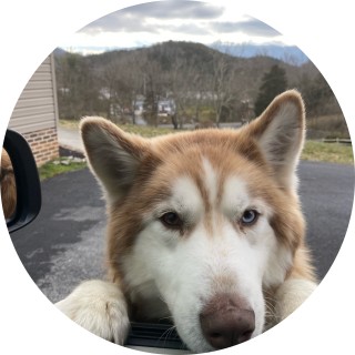 meme_lord_76391 avatar