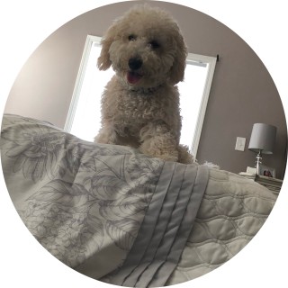 ken_ken_________girl avatar