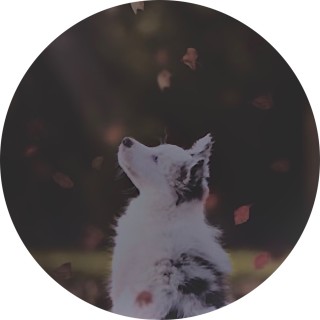 TrentonGertch34 avatar