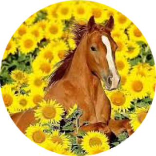 carli_cheyenne avatar