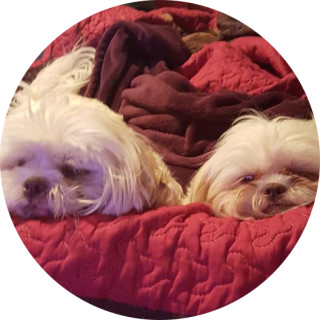 braydonprince2005 avatar