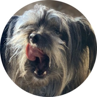 idkmynamefindit avatar