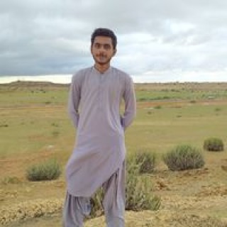 abdulsamadniz860 avatar
