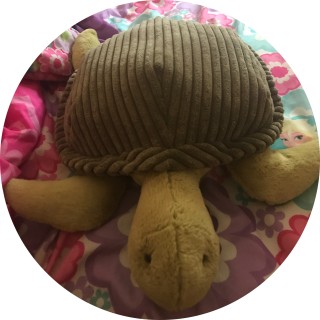 powerful_banjo_89 avatar