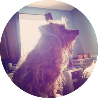 emotionalwreck avatar