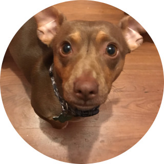 abby_is_the_best avatar