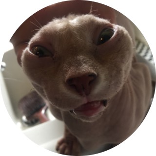 musclechicken avatar