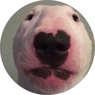 averagexavax_ avatar