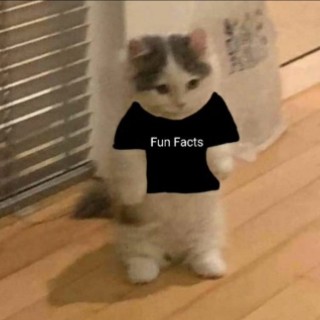 I_Hate_Fun_Facts avatar