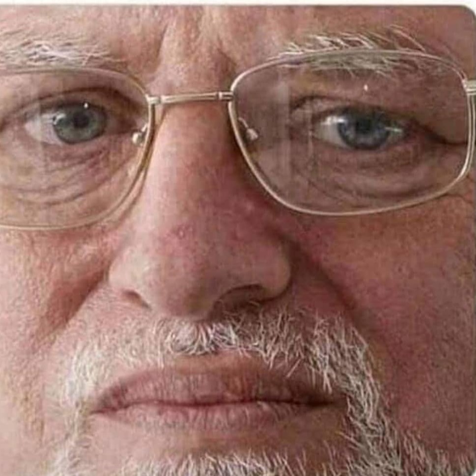 kalicolliedog avatar