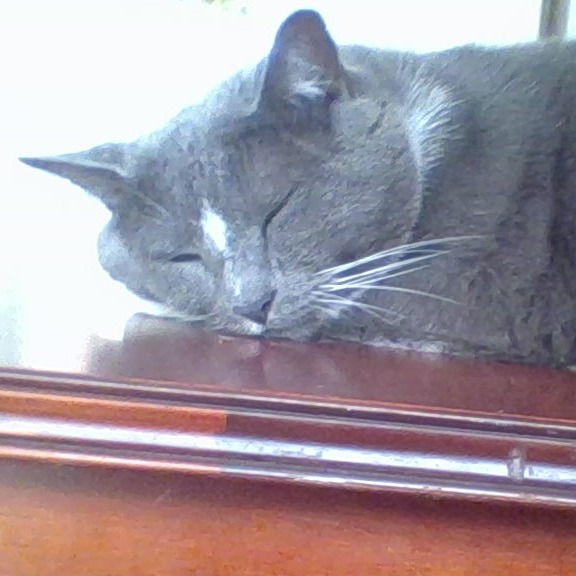 ClosetSpider63 avatar