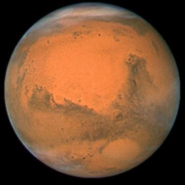 CatFromMars11 avatar