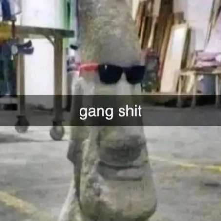 Hamptermuncher avatar