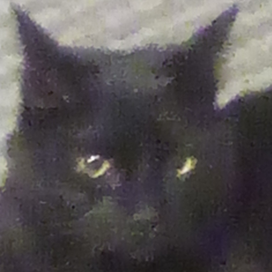 TylerTheStar22 avatar