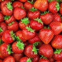 Strawberries4me avatar