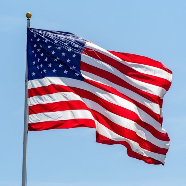 RachelJenkins avatar