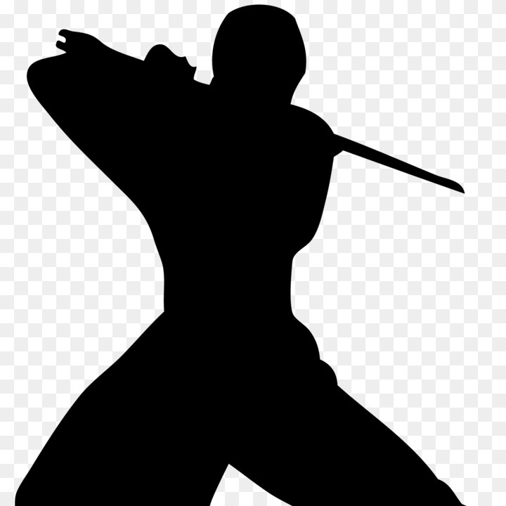 blackninjamemer776 avatar