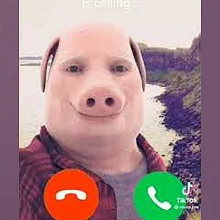 GetRickrolled78 avatar