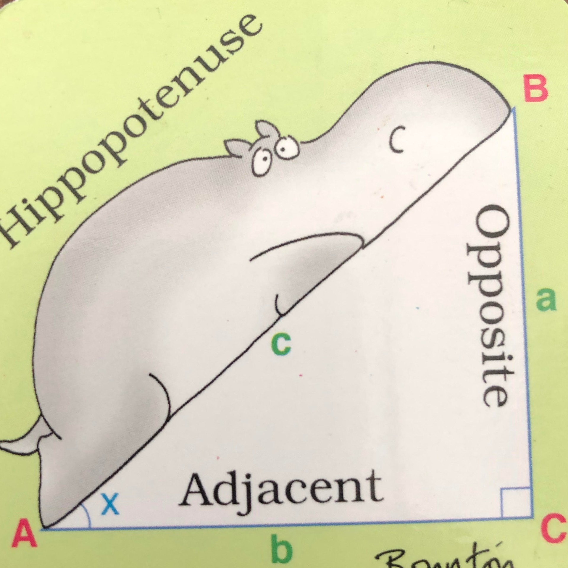 tortoisetrouble avatar