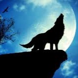 Spirit_Animal avatar