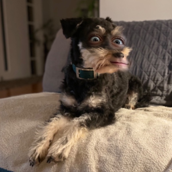 RandomDude42069 avatar