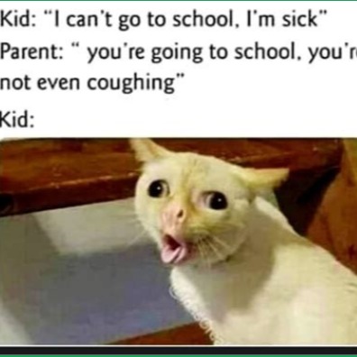 imemes.ilovememes avatar