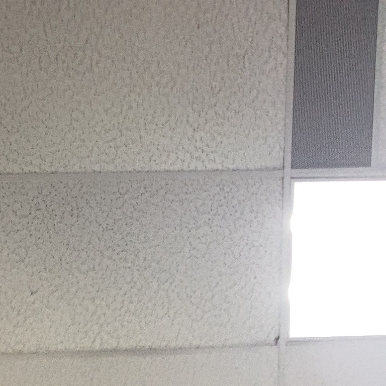 Miguelsucks141 avatar