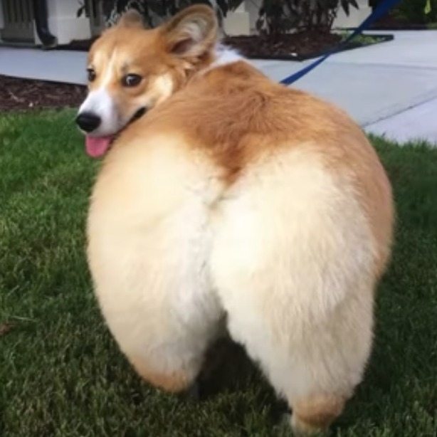 moaningintensifies69420 avatar