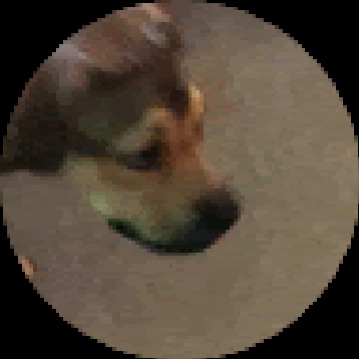 randomscratcher avatar