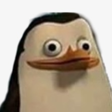 meme_pinguin avatar