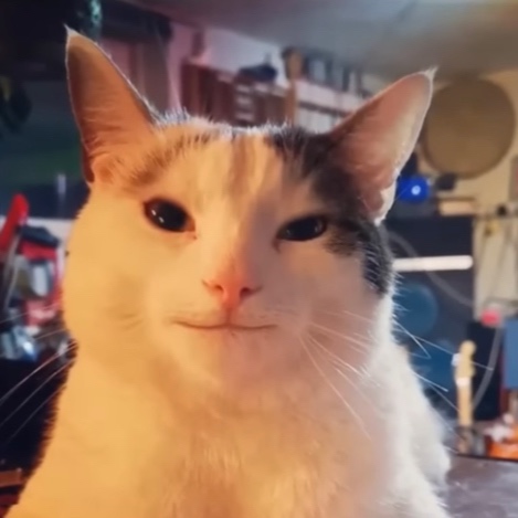 Memer0101010101010 avatar