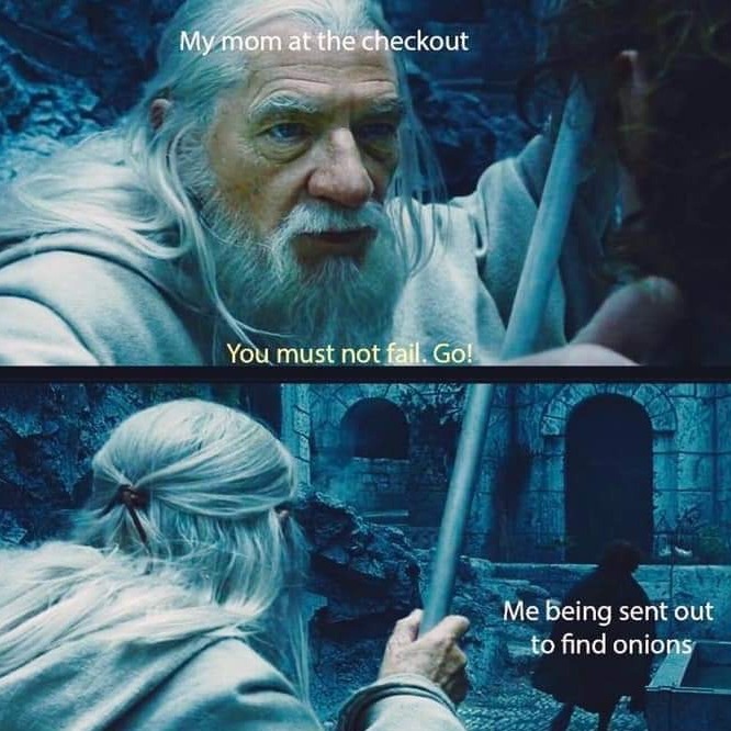 FeiraleighWillow avatar