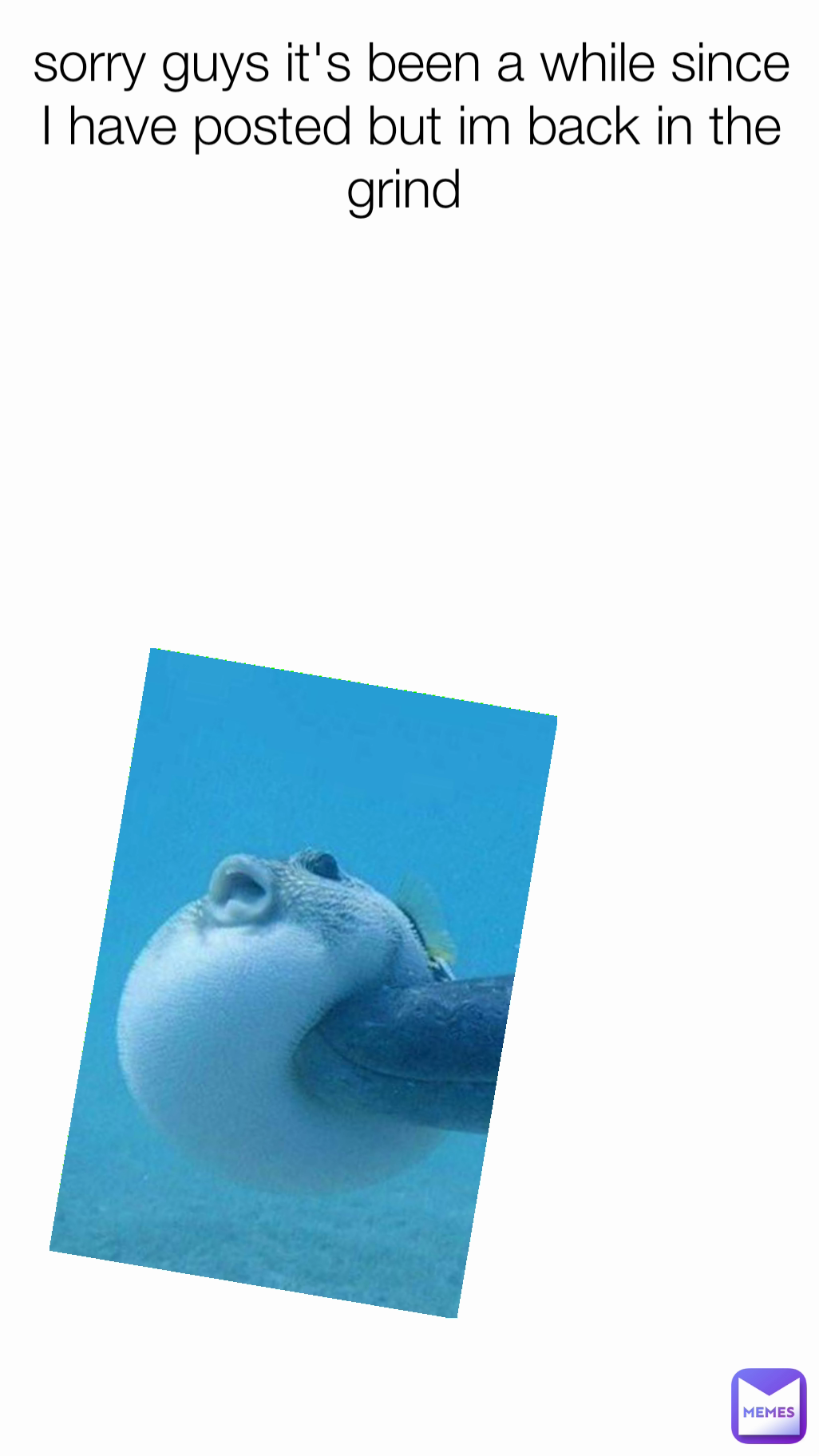 sorry guys it's been a while since I have posted but im back in the ...