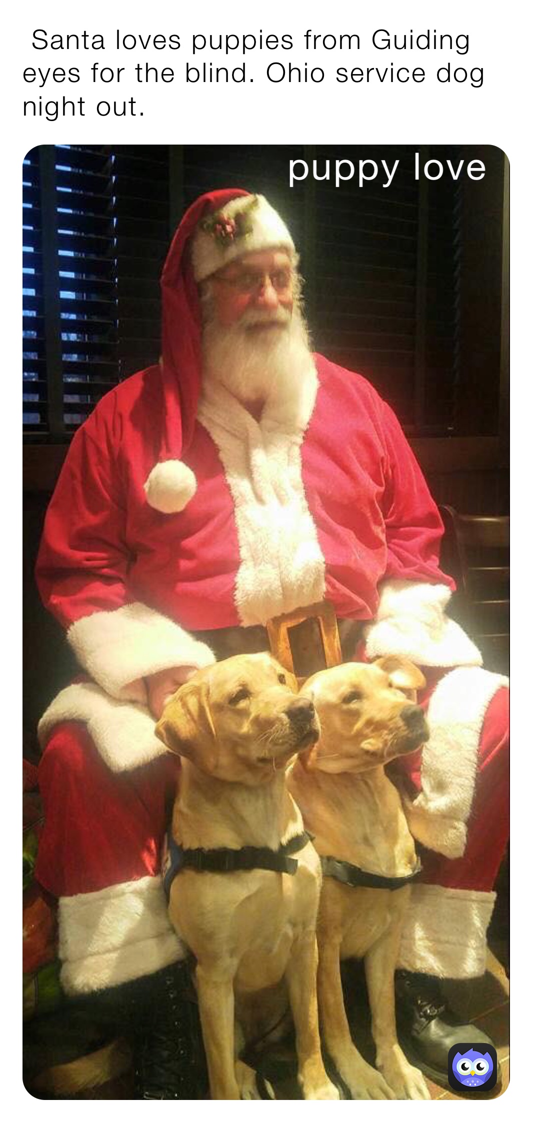  Santa loves puppies from Guiding eyes for the blind. Ohio service dog night out.