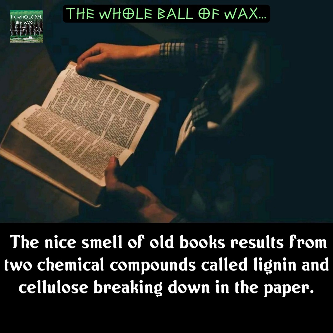 Double tap to edit The nice smell of old books results from two chemical compounds called lignin and cellulose breaking down in the paper.