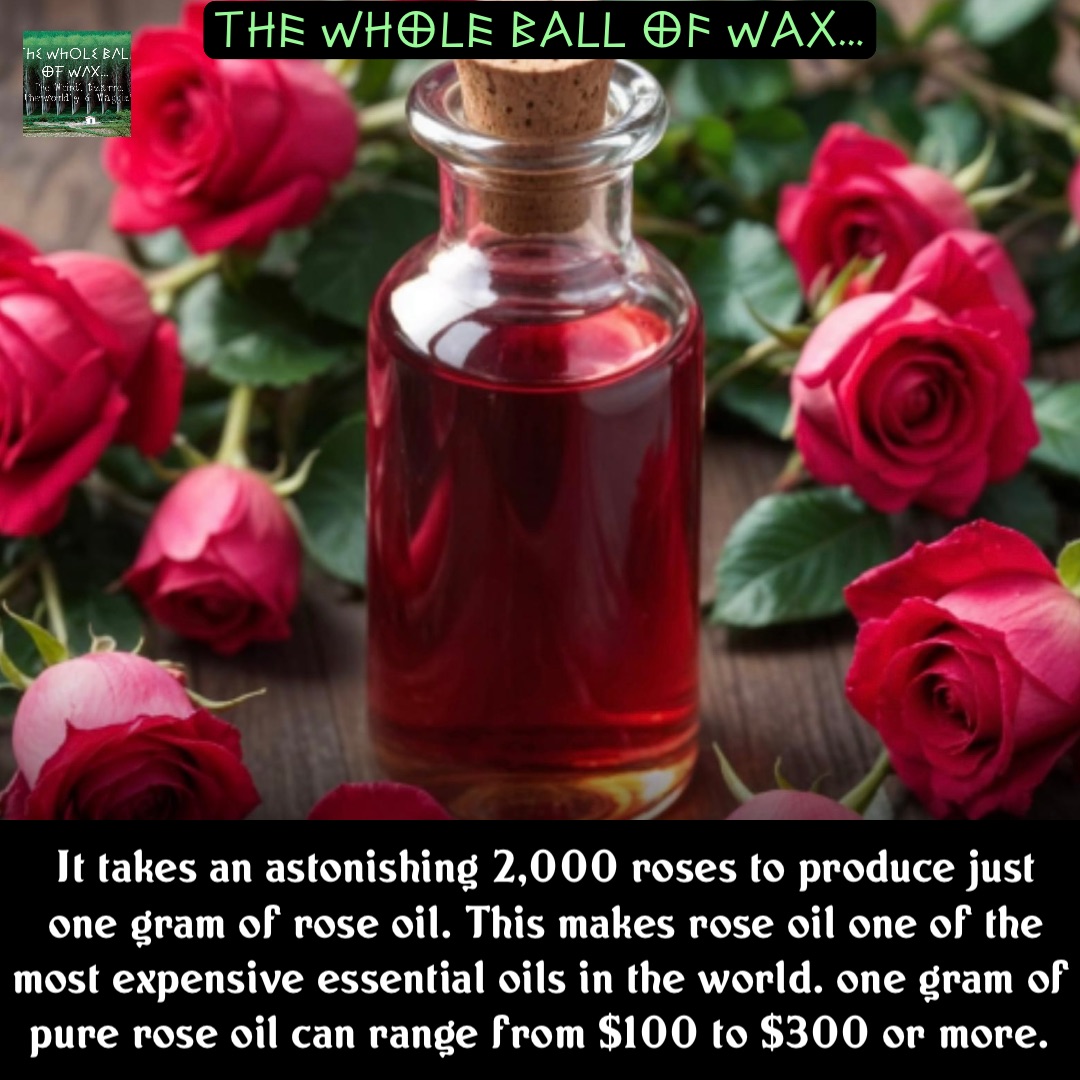 Double tap to edit It takes an astonishing 2,000 roses to produce just one gram of rose oil. This makes rose oil one of the most expensive essential oils in the world. one gram of pure rose oil can range from $100 to $300 or more.