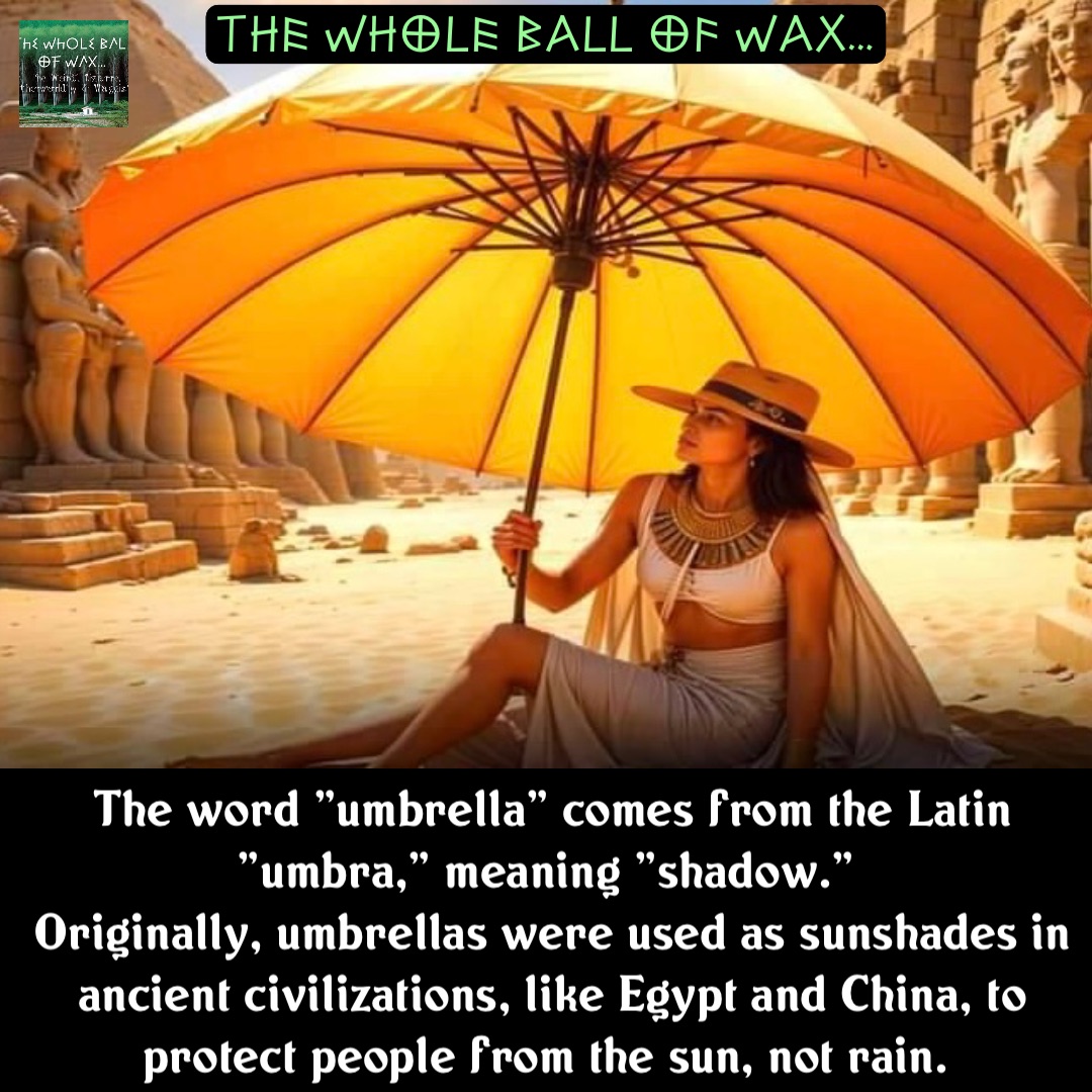 Double tap to edit The word "umbrella" comes from the Latin "umbra," meaning "shadow."
Originally, umbrellas were used as sunshades in ancient civilizations, like Egypt and China, to protect people from the sun, not rain.