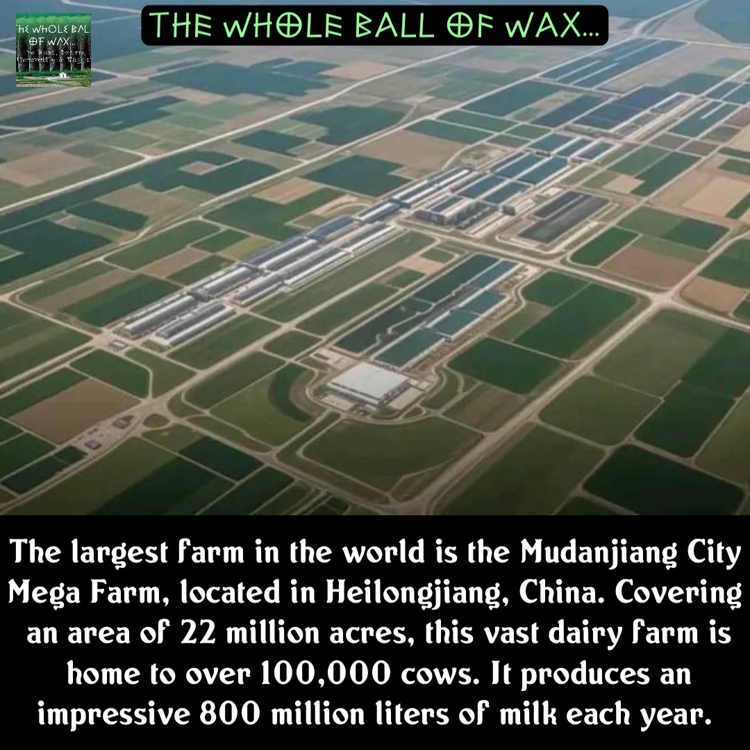 Double tap to edit The largest farm in the world is the Mudanjiang City Mega Farm, located in Heilongjiang, China. Covering an area of 22 million acres, this vast dairy farm is home to over 100,000 cows. It produces an impressive 800 million liters of milk each year.