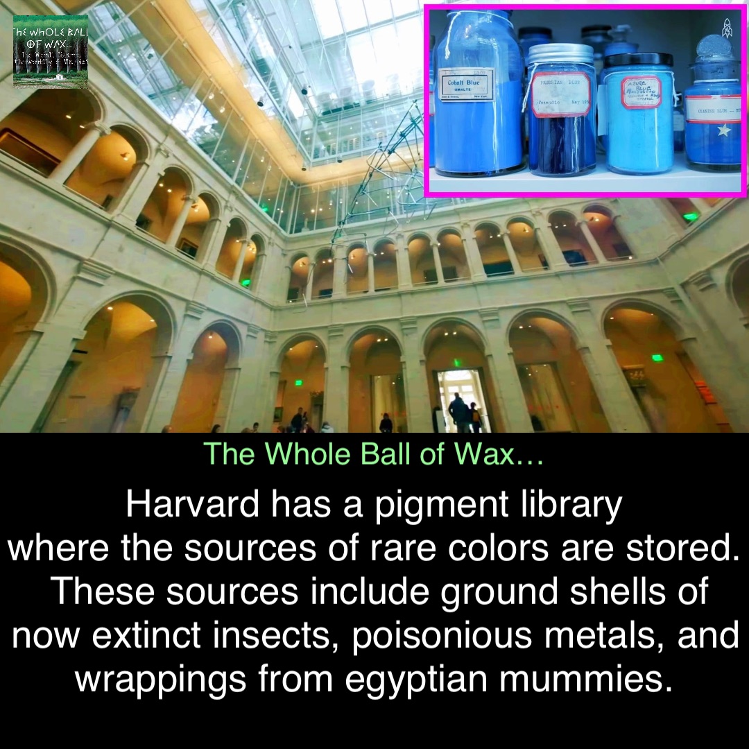 Double tap to edit Harvard has a pigment library
where the sources of rare colors are stored. These sources include ground shells of now extinct insects, poisonious metals, and wrappings from egyptian mummies.
