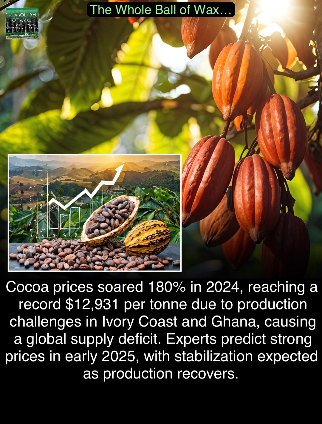 Double tap to edit Cocoa prices soared 180% in 2024, reaching a record $12,931 per tonne due to production challenges in Ivory Coast and Ghana, causing a global supply deficit. Experts predict strong prices in early 2025, with stabilization expected as production recovers.