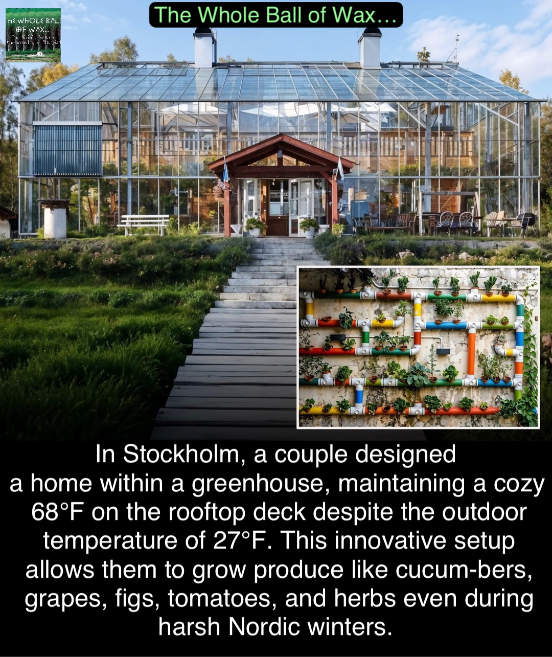 Double tap to edit In Stockholm, a couple designed
a home within a greenhouse, maintaining a cozy 68°F on the rooftop deck despite the outdoor temperature of 27°F. This innovative setup allows them to grow produce like cucum-bers, grapes, figs, tomatoes, and herbs even during harsh Nordic winters.