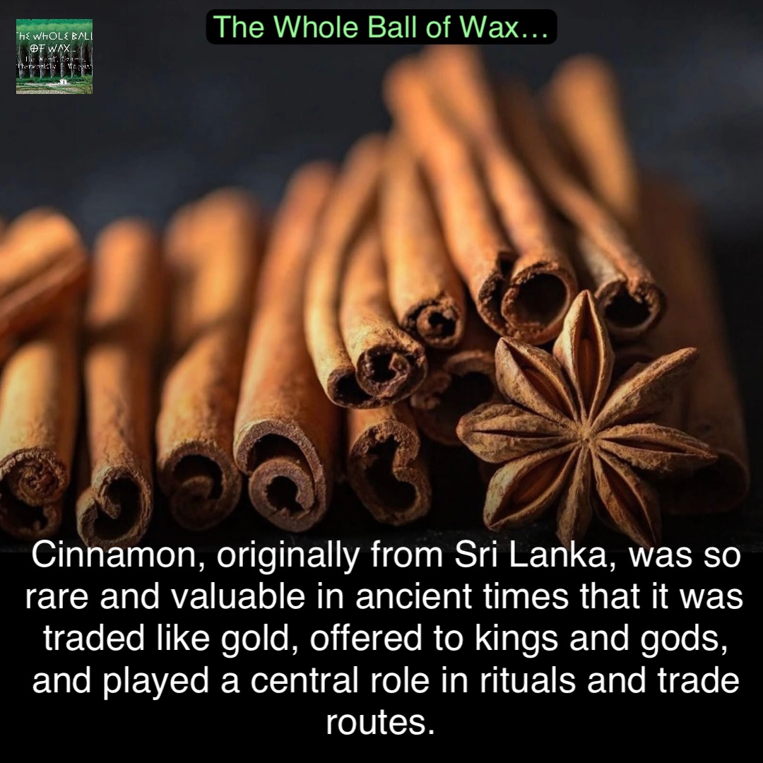 Double tap to edit Cinnamon, originally from Sri Lanka, was so rare and valuable in ancient times that it was traded like gold, offered to kings and gods, and played a central role in rituals and trade routes.