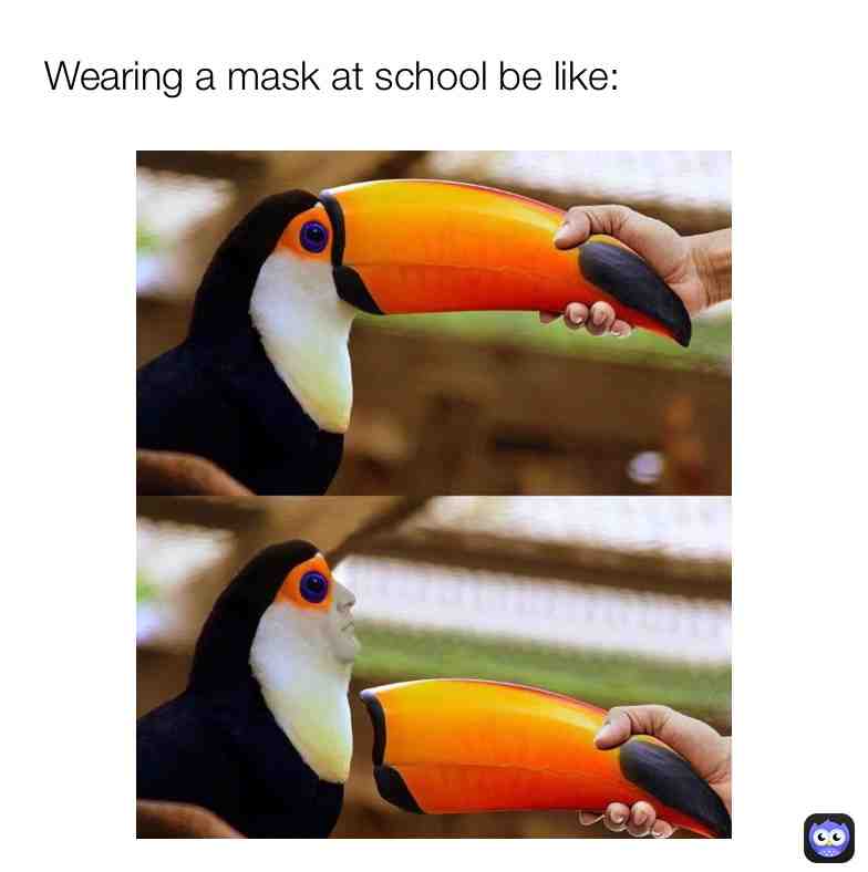Meme shared by @Code_Error123